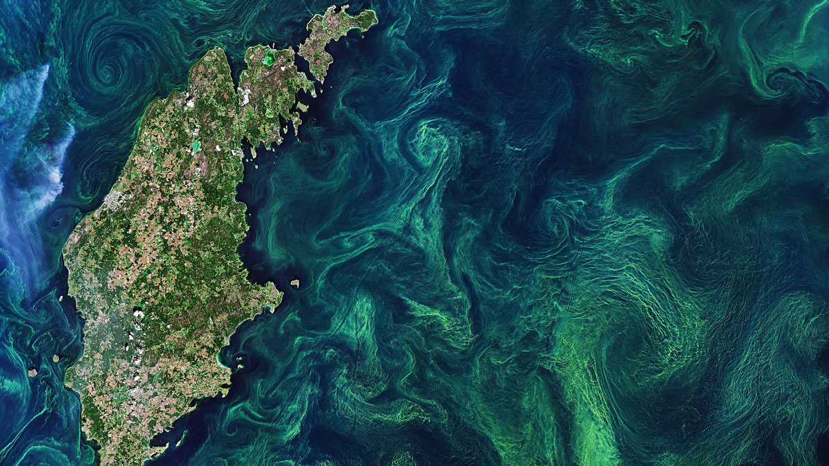Green swirls indicate microbial growth in an otherwise blue ocean.