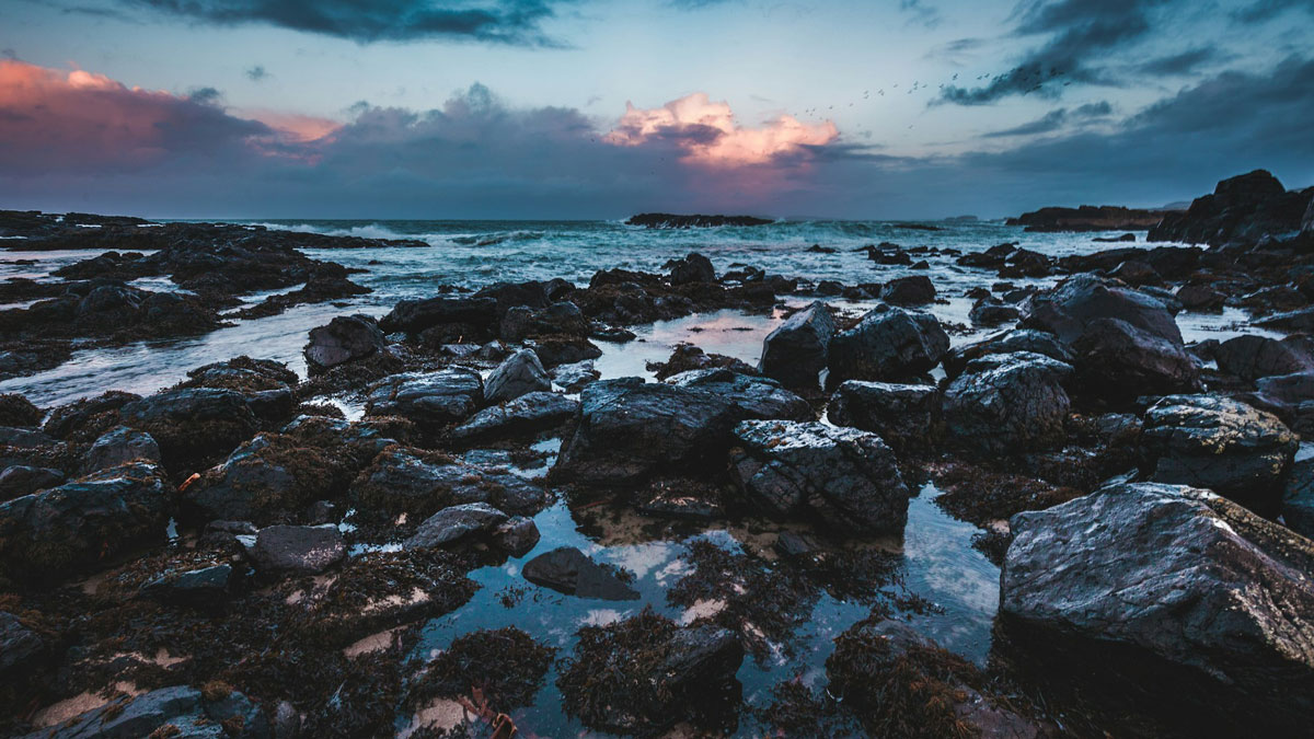 Rocas saliendo del océano en una costa