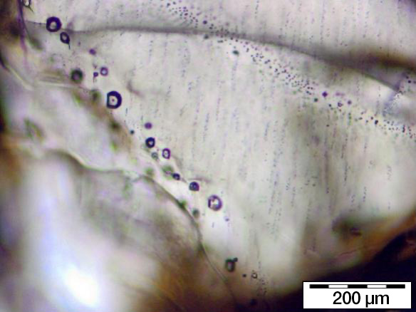 Microscope view of a mineral specimen with tiny, trapped bubbles