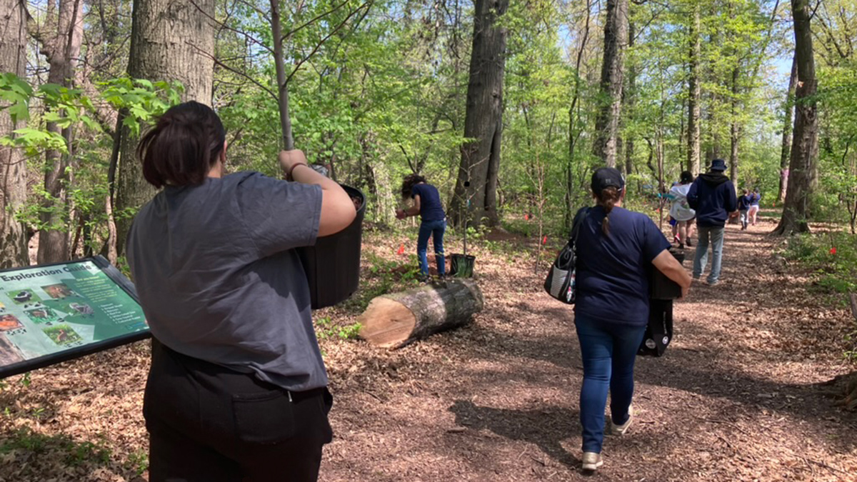 A group of people, seen from behind, walk along a forest path carrying potted trees. They are wearing jeans and T-shirts and preparing to plant the trees.
