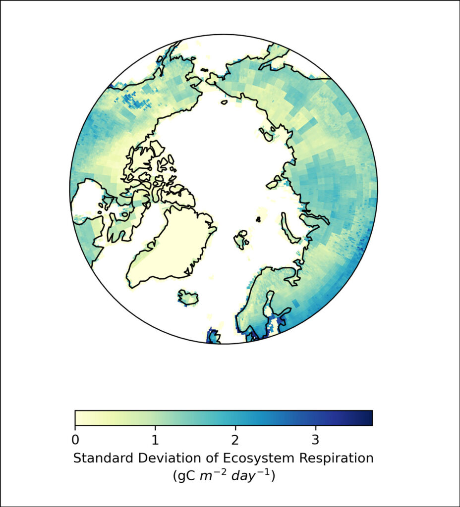 Circular map view figure over the Arctic, shaded to represent data on the standard deviation of ecosystem respiration from 2000 to 2021.