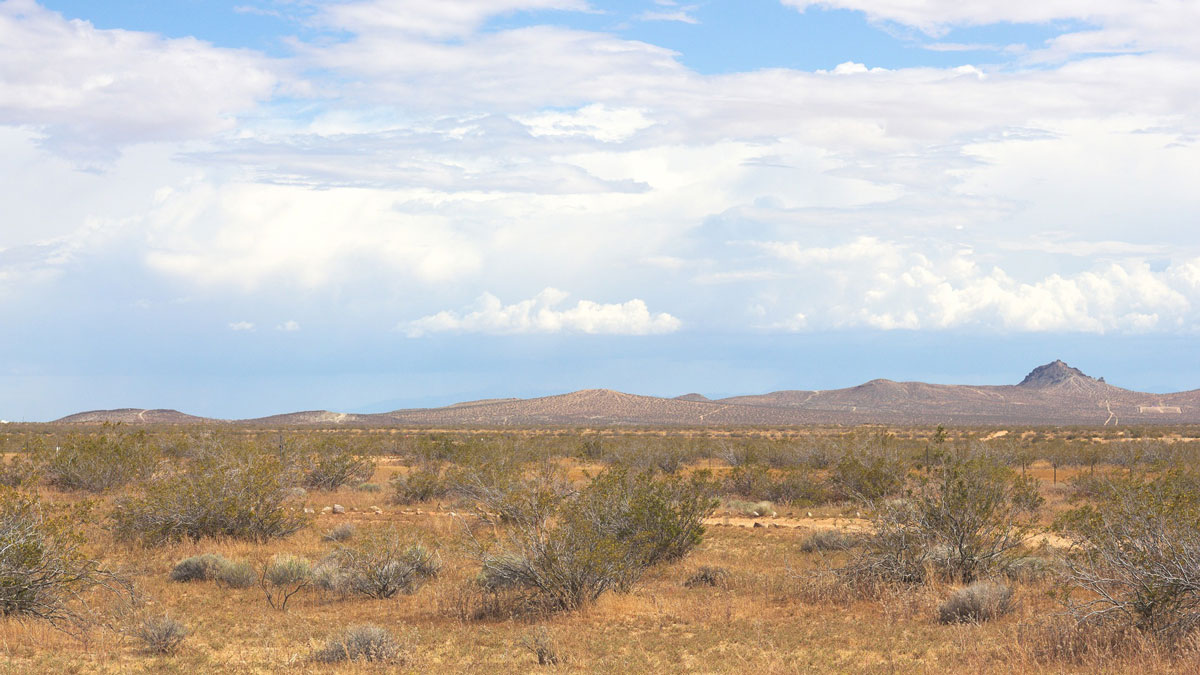 A desert landscape vegetated by dry grass and shrubs.