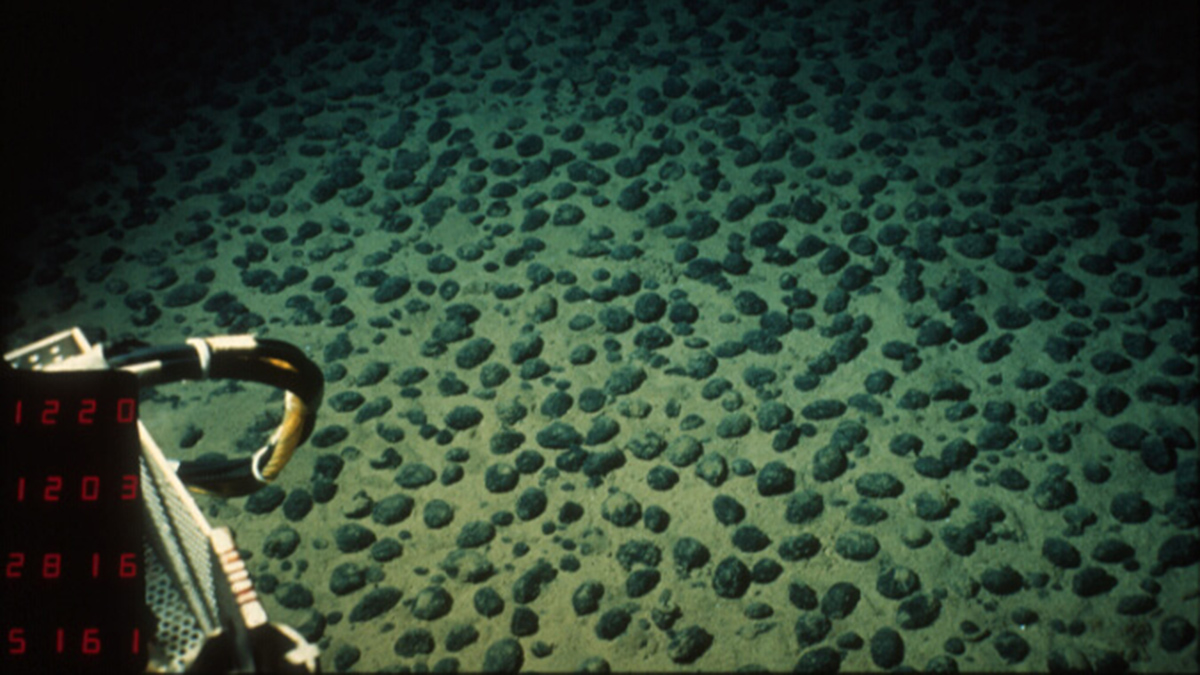 A submersible vessel explores a polymetallic nodule field on the seafloor in the Pacific Ocean.