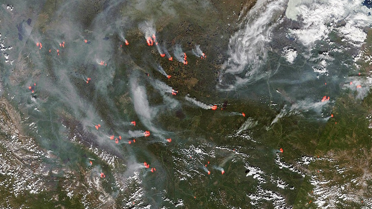 Multiple wildfires burning in Siberia, seen from space