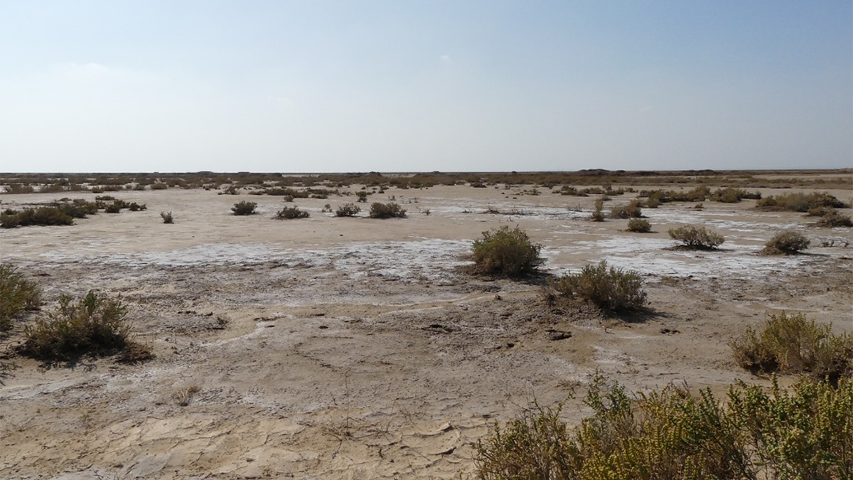 Photo of a desert with white salt on the surface.