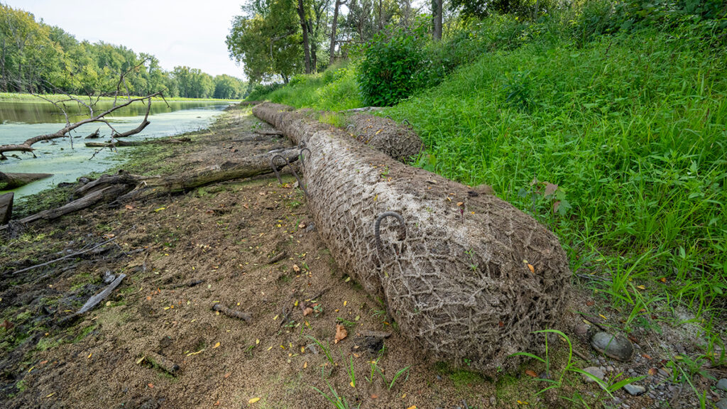 Several human-constructed logs, which look like fibrous materials surrounded by rope netting, lie parallel to a river along a green bank. A tree lays perpendicular to the coir logs.