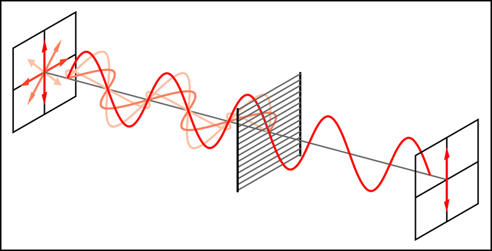 A simple graphic depiction of a light wave traveling from left to right through a linear polarizer. At left, arrows indicate that the light’s electric fields are emanating outward in many directions. At right, they extend in only one plane.