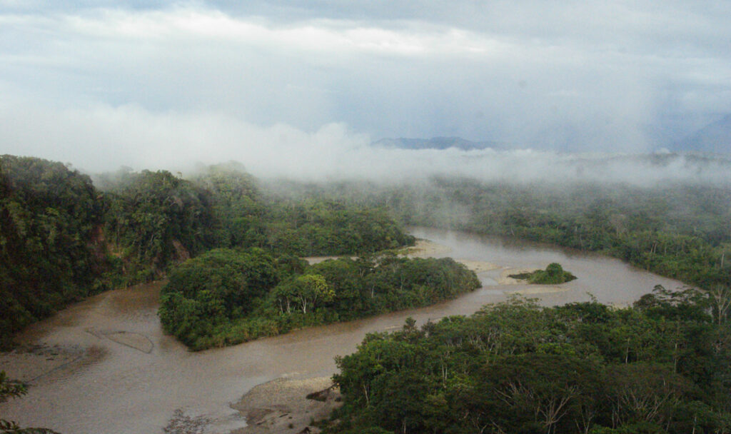 A river runs through dense vegetation with clouds hanging above.