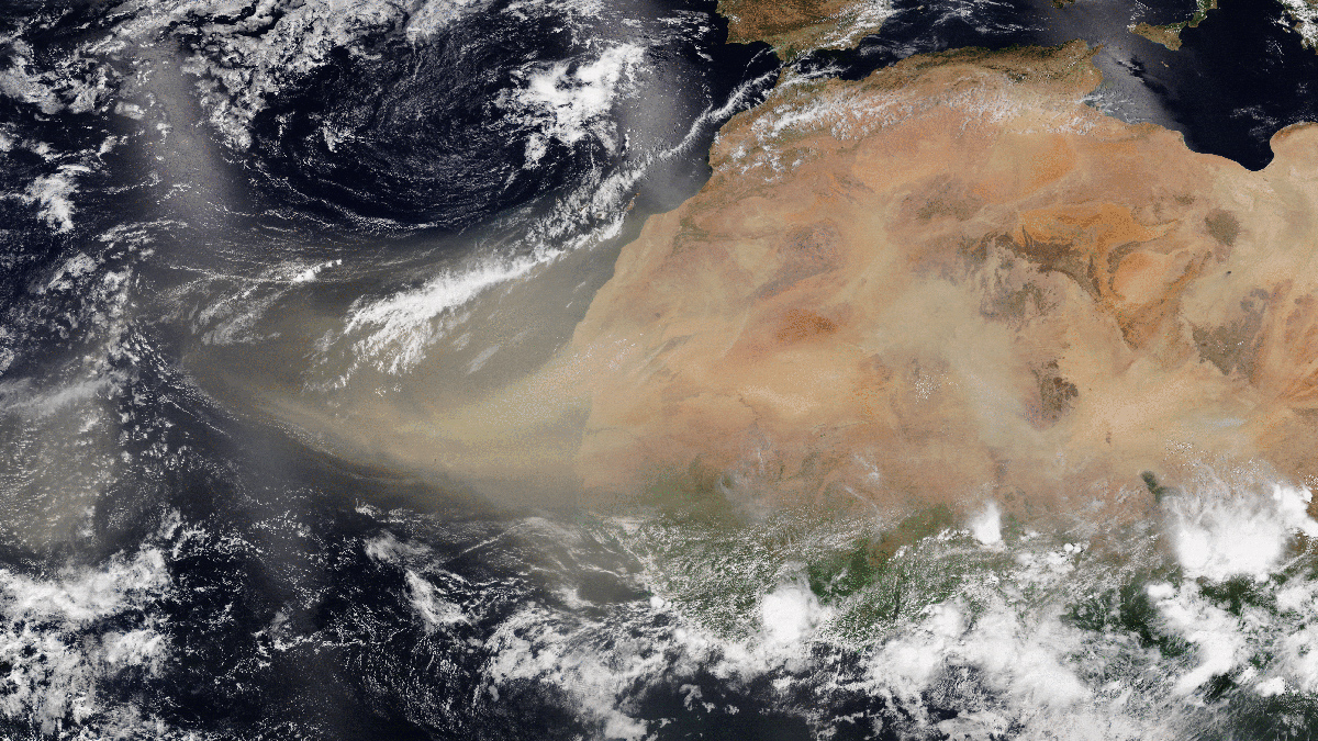 Satellite image of brown dust over a blue ocean