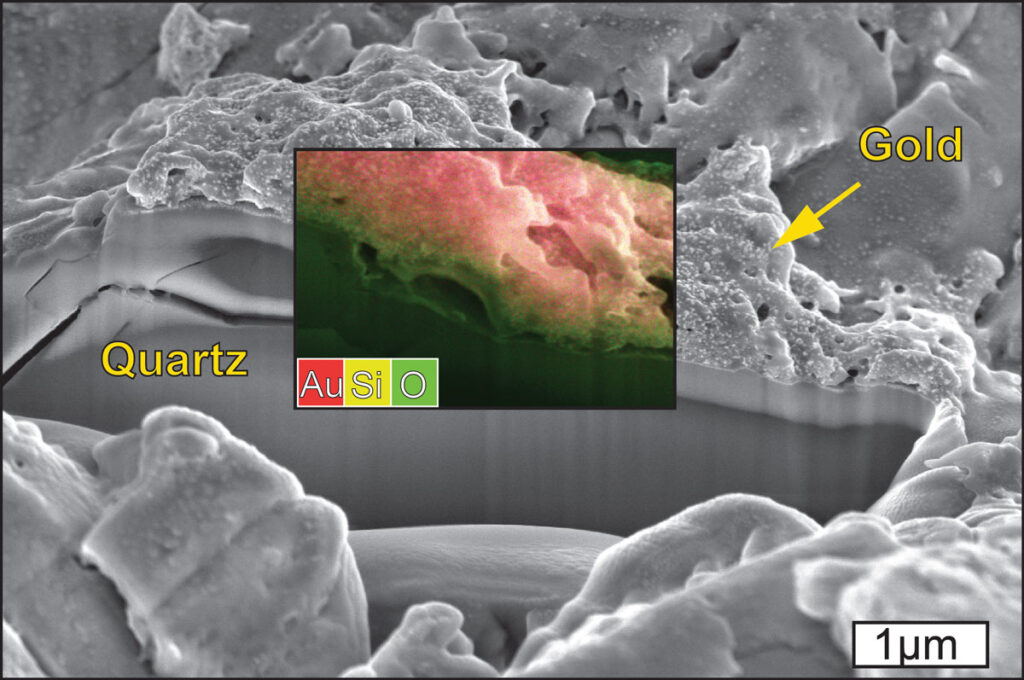 Black-and-white microscope image of a bumpy surface with a colorful section in the middle.