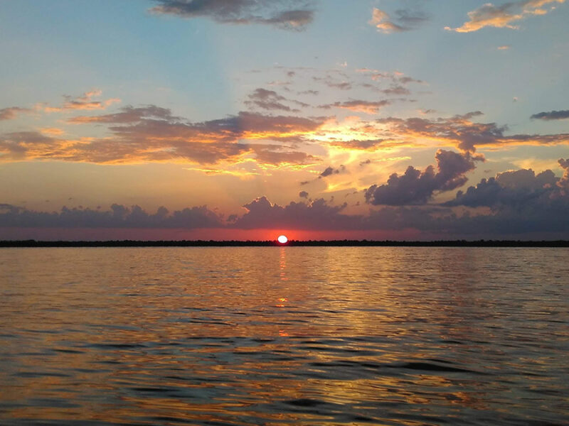 Insights Biogeoquímicos de um Importante Rio Amazônico