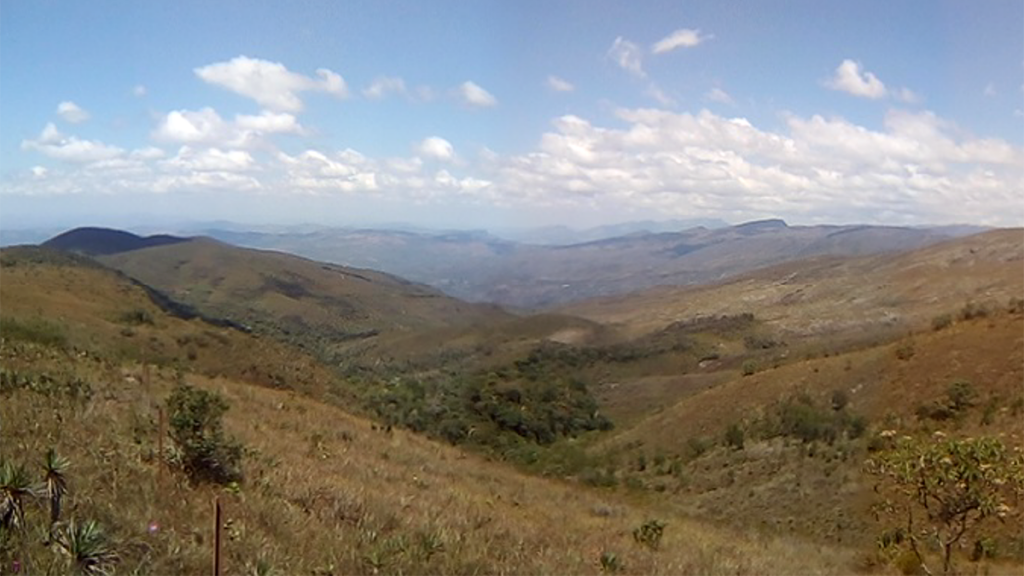 Field photo of a mountainous region covered with long grass and shrubs.