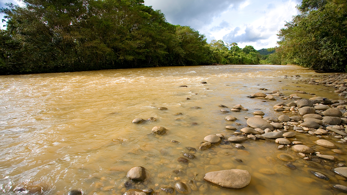 Photo of a muddy river.