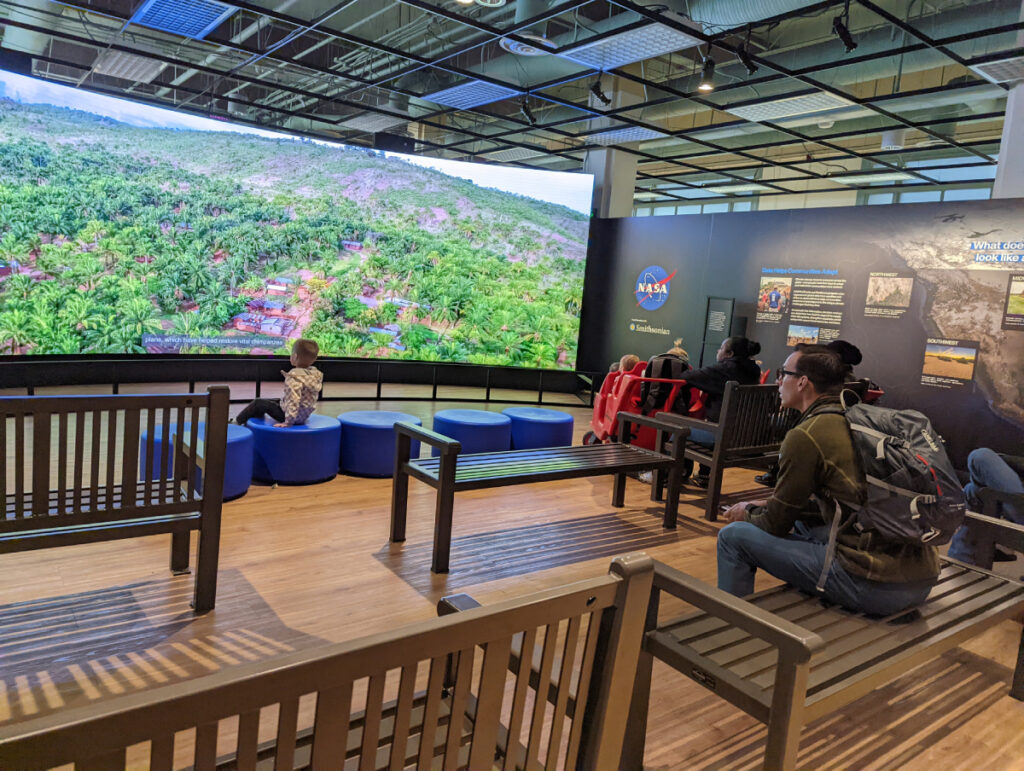 Museum visitors watch a video of a forest on a massive digital screen.