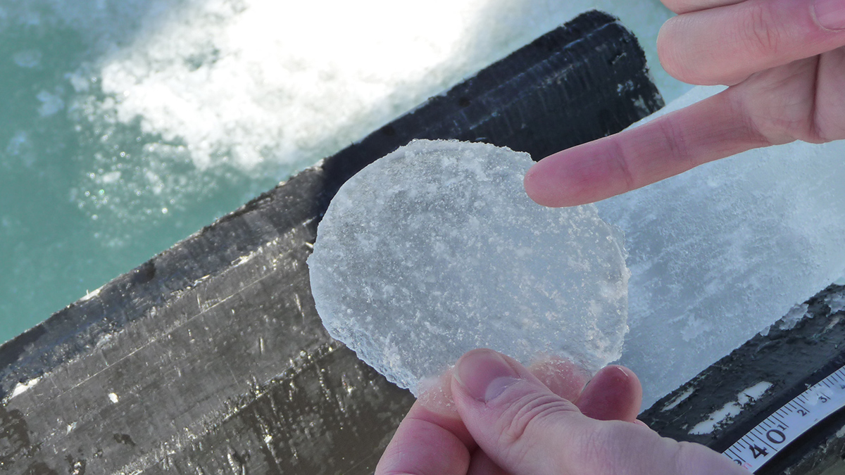 A hand holds a disc of ice between thumb and forefinger while the person’s other hand points at it with the little finger. On a surface below, a ruler can be seen.