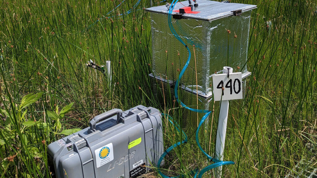 A box labeled with the number 440 and a small plastic container shaped like a briefcase and labeled LI-COR sit in a field of grass.