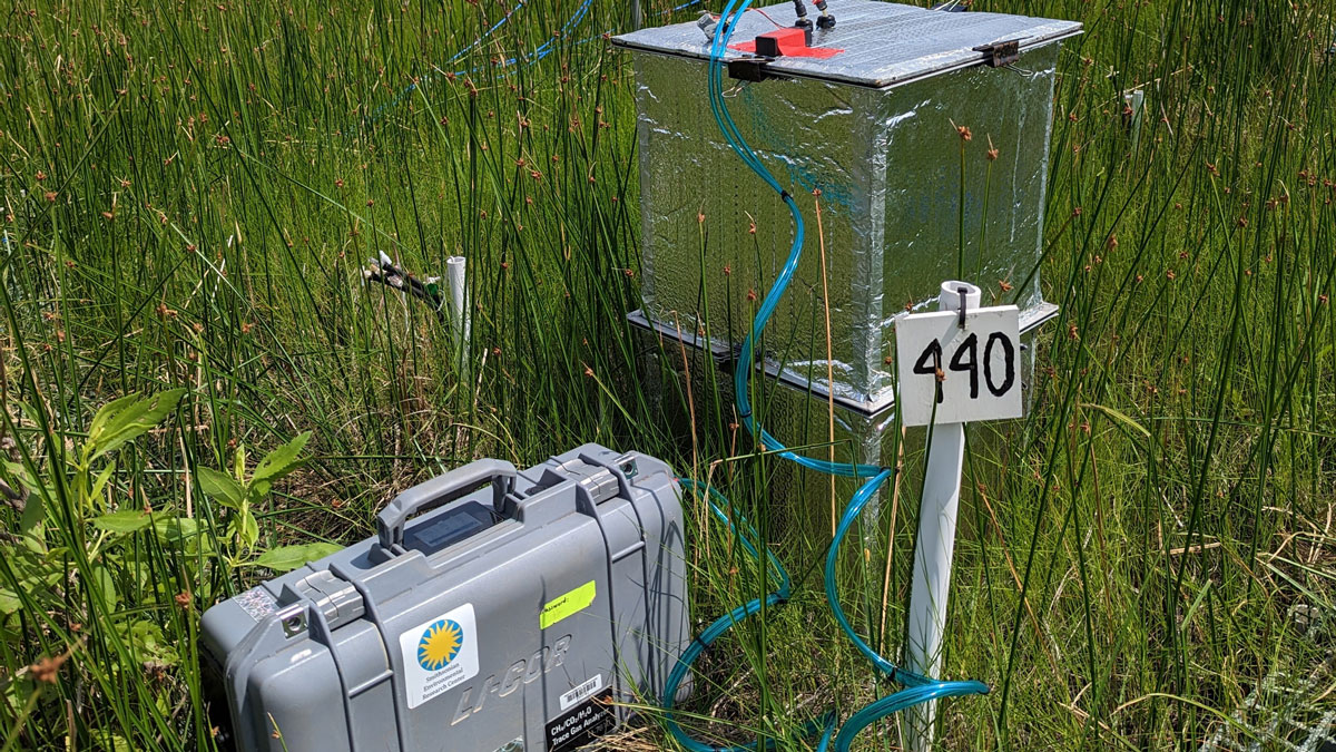 A box labeled with the number 440 and a small plastic container shaped like a briefcase and labeled LI-COR sit in a field of grass.