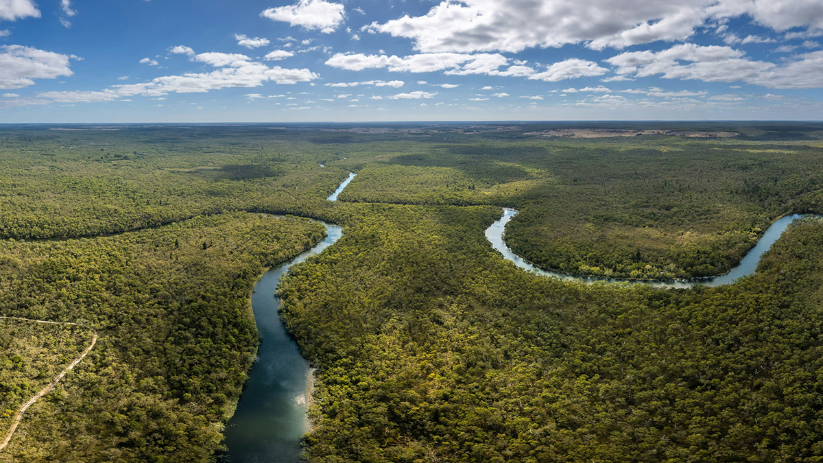 Two river channels in a flat, forested landscape