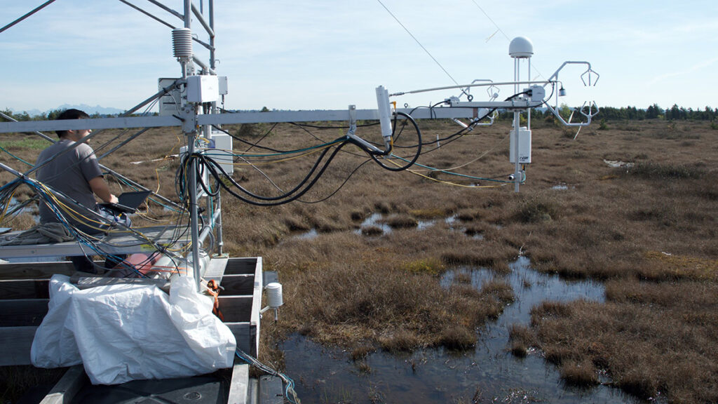 A person sits on a platform on a marsh. The platform is connected to a series of wires connected to a white tower.