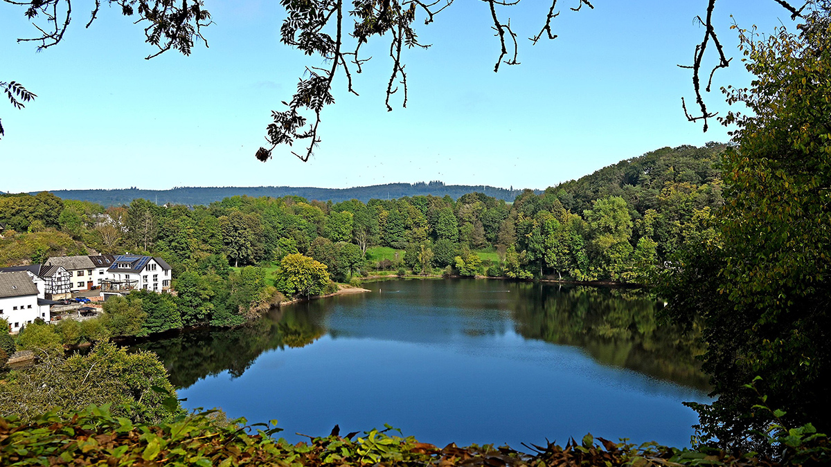 A small lake reflects a clear blue sky and is surrounded by lush green plants and trees. White-colored buildings with dark, sloped roofs appear on the left side of the lake, and tree limbs extend into the forefront of the image from above.