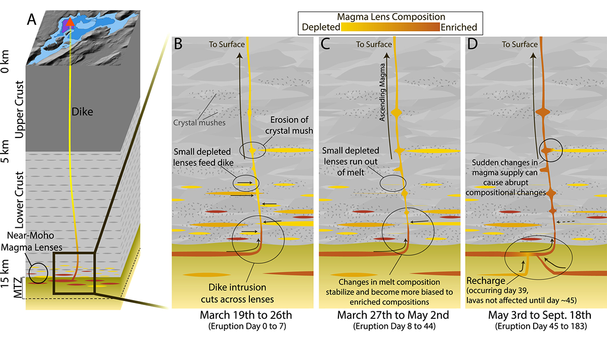 Illustrations from the study.