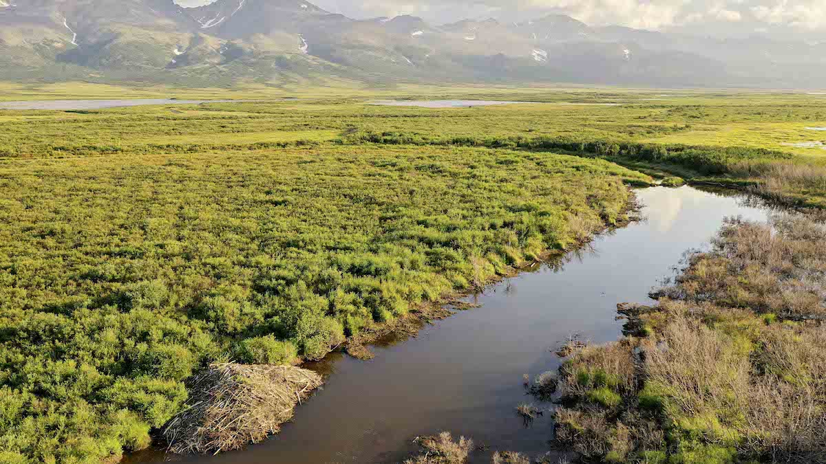 A river runs past a beaver dam in the foreground with mountains and clouds in the background.
