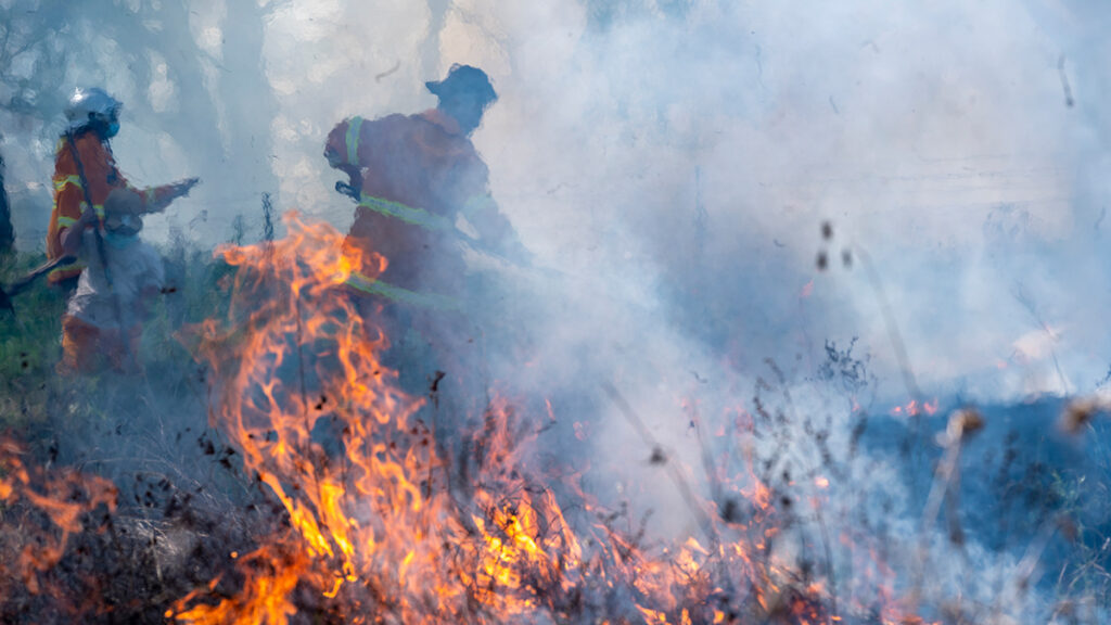 An out-of-focus photo of people in orange suits working next to vegetation on fire
