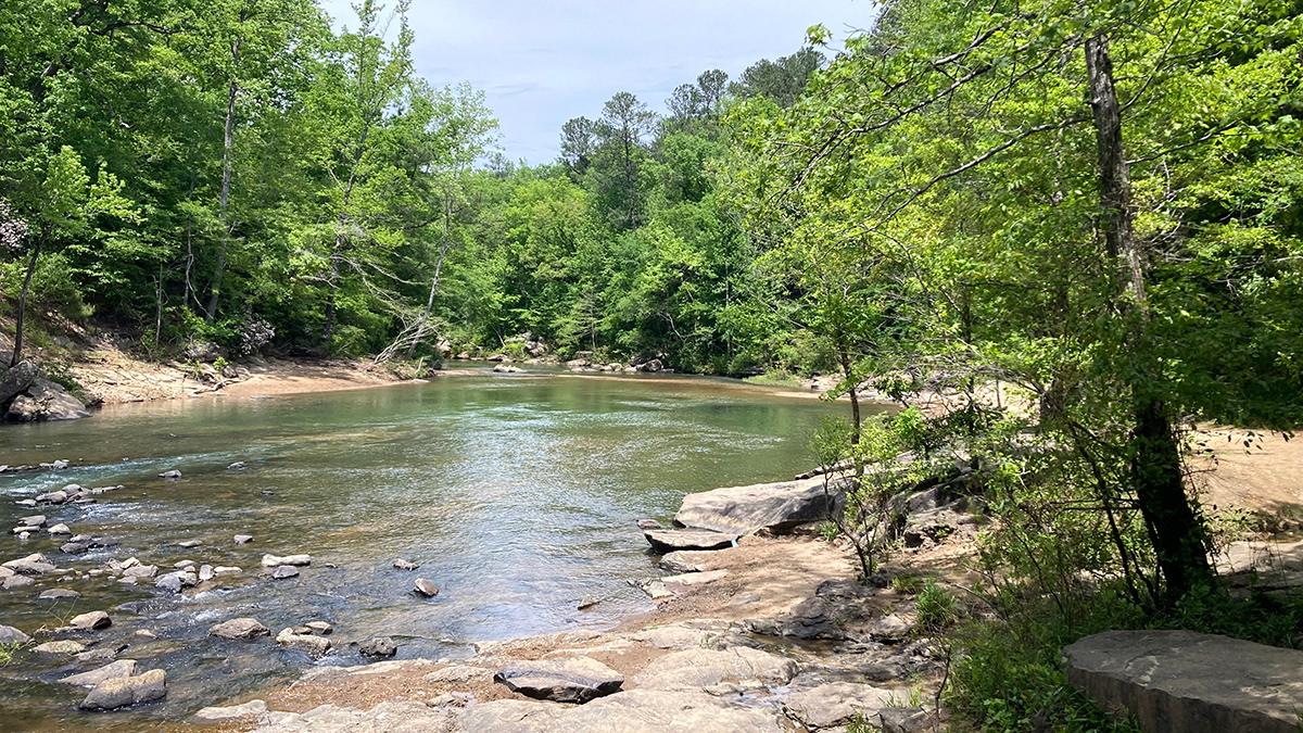 View of a wide creek surrounded by trees