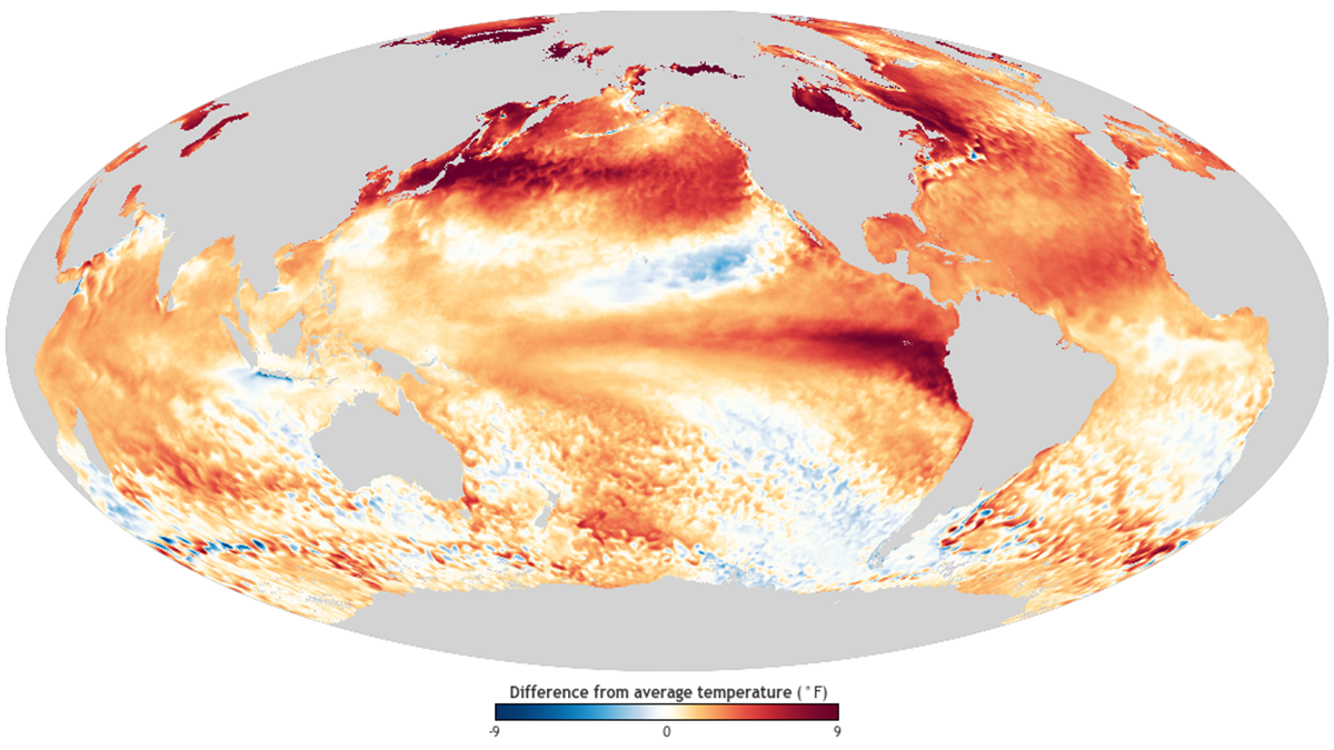 World map showing sea surface temperature with color.
