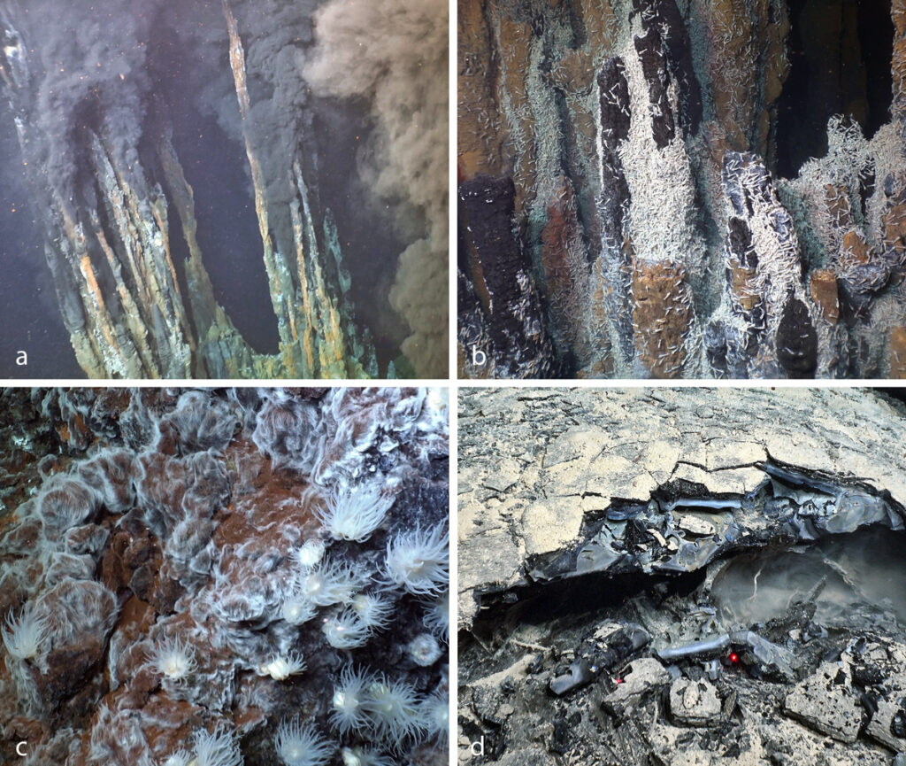 Four-panel series of photographs from Alvin’s 2022 Science Verification Expedition showing dark plumes rising from tall, thin hydrothermal vent chimneys; abundant Rimicaris shrimp on an active hydrothermal chimney; anemones and filamentous microbial at a hydrothermal site; and a hardened young lava flow with fresh glass and a thin coating of sediment covering.