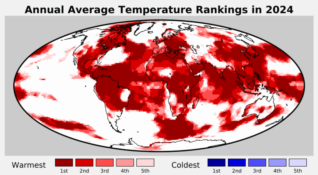 A global map shaded in red. Deeper red shades indicate that 2024 was a record or near record year for warmth. No areas are shaded blue, which would indicate a record or near record cold year.