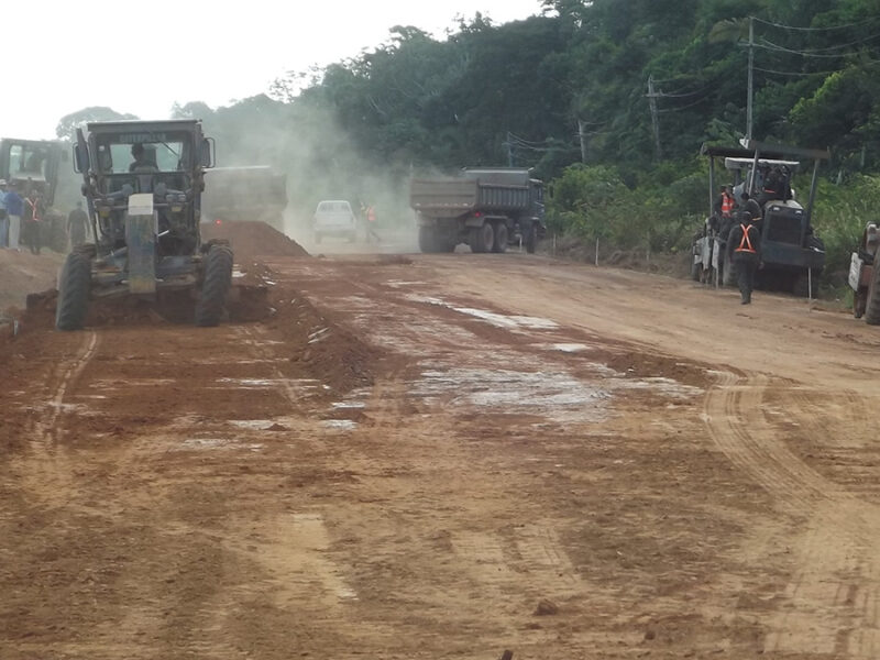 Road Development May Put Habitats at Risk