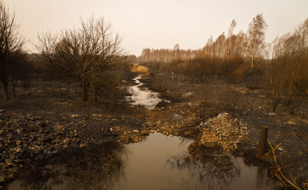 A shallow creek lined with bare trees