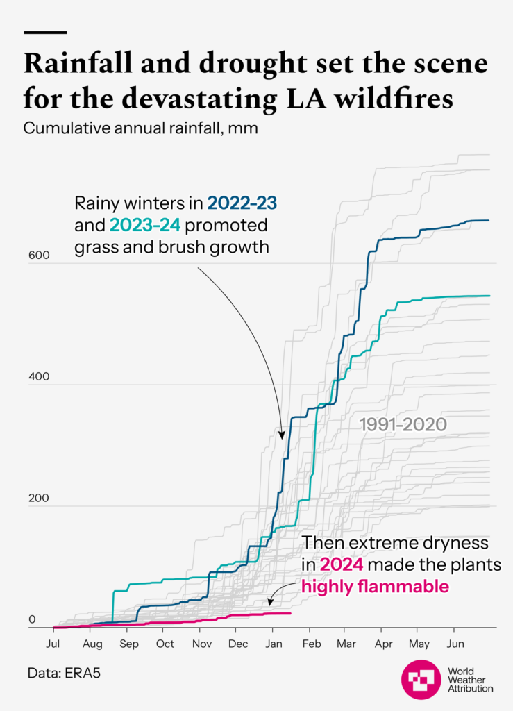 A graph showing cumulative rainfall totals for each year in the area between 1991 and 2024.