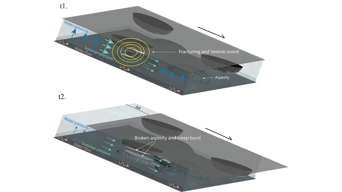 Diagram from the study.
