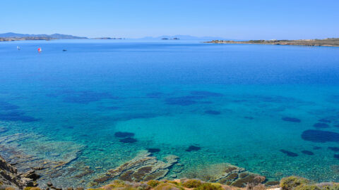 Shallow blue waters with green land in the foreground and distant background.