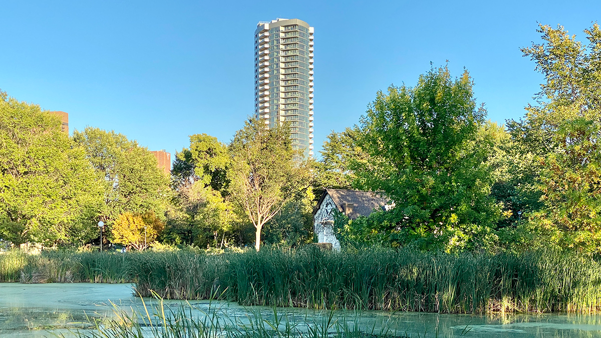Lush trees and shallow water sit beneath a blue sky, and a Minneapolis skyscraper rises in the background.