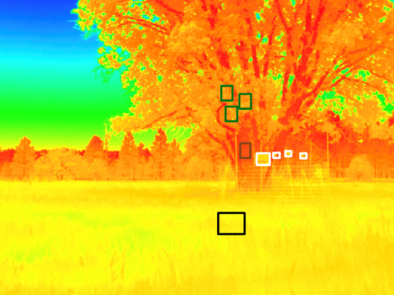 Sensing Potential, Scientists Refine Thermal Imaging of Ecosystems
