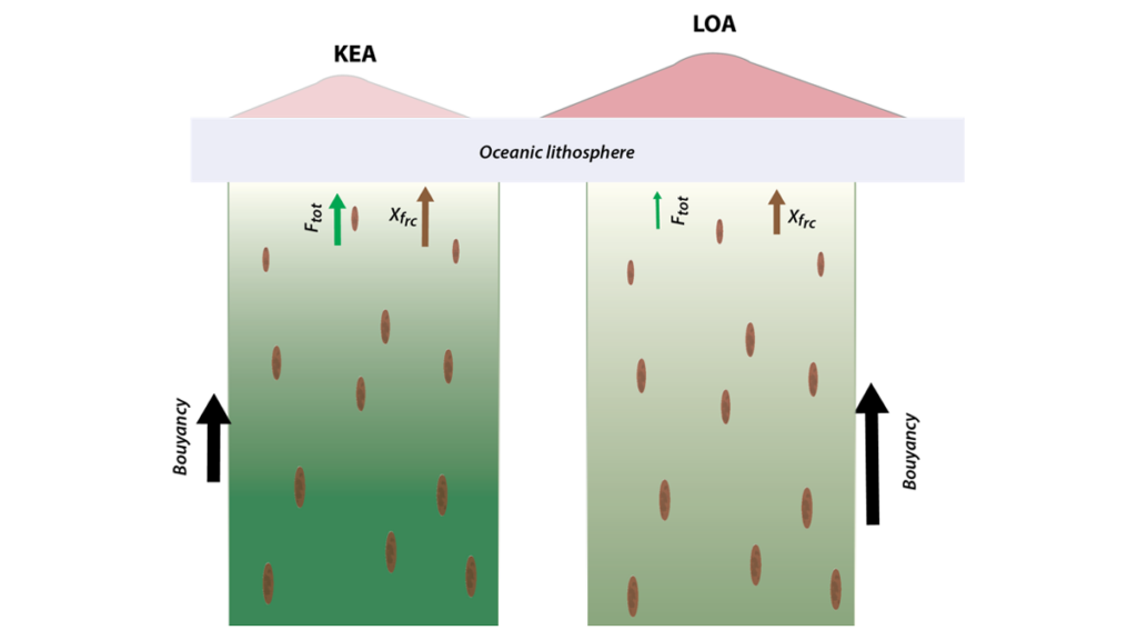Diagram of the model presented in the paper.