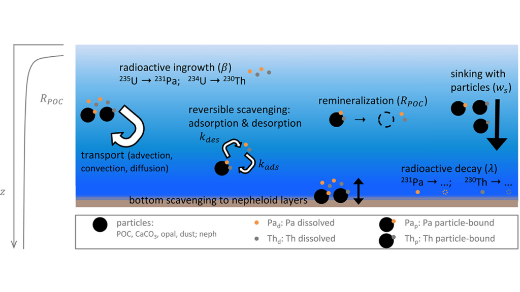 Diagram from the study.