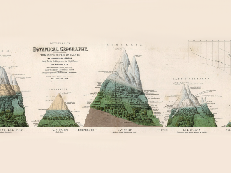 Topography and the Terrestrial Water Cycle