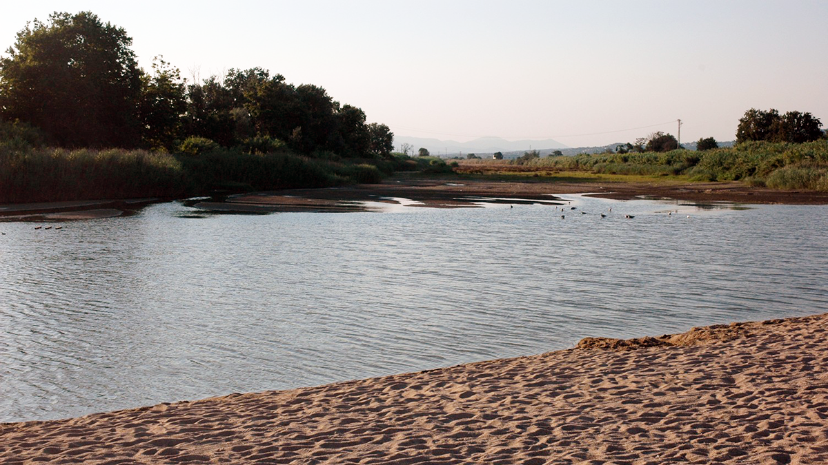 Photo of a river