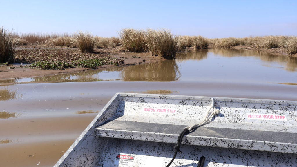A photo of a delta taken from inside an airboat. The airboat has two stickers on it that say “Watch your step.”