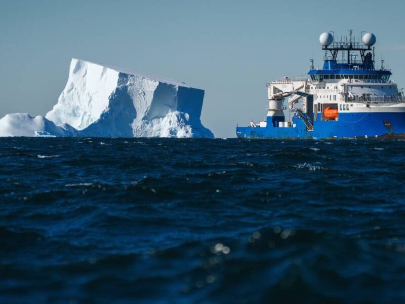 Thriving Antarctic Ecosystem Revealed by a Departing Iceberg