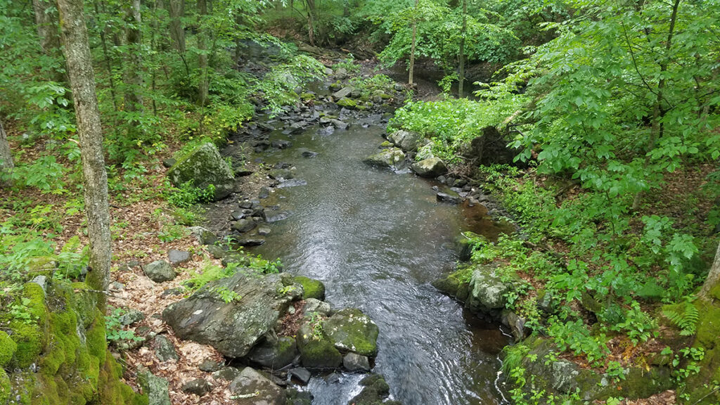 A river surrounded by lush green vegetation is seen from about the height of a tree.