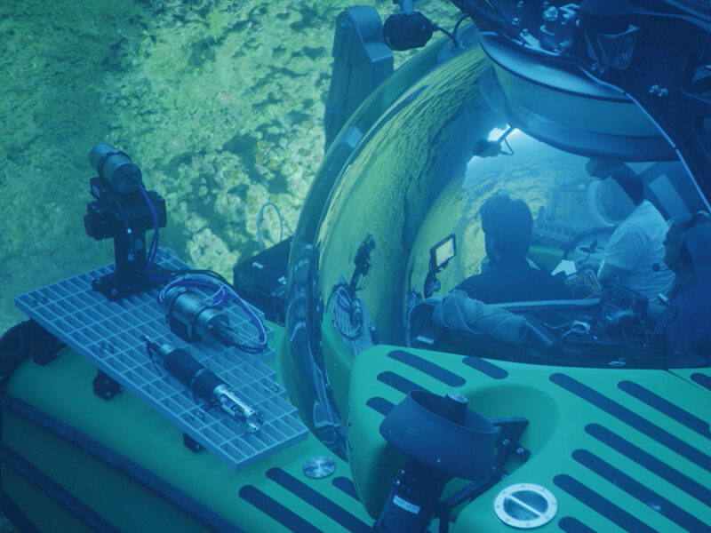 Red Sea Corals Survived the Late Glacial Crisis