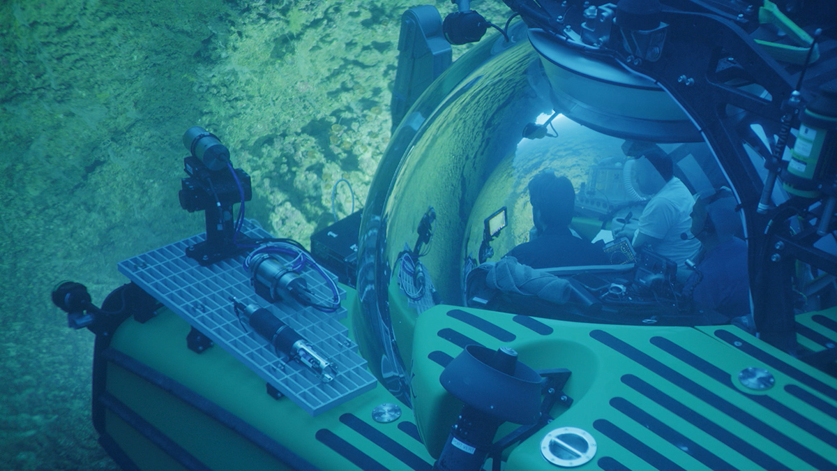 Sam Purkis and other crew members aboard the yellow OceanX Triton submersible approach a deepwater coral mound in the Red Sea.
