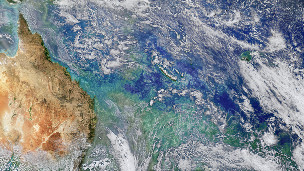 Satellite photo of a plankton bloom.