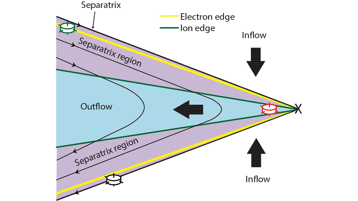 Diagram from the study.