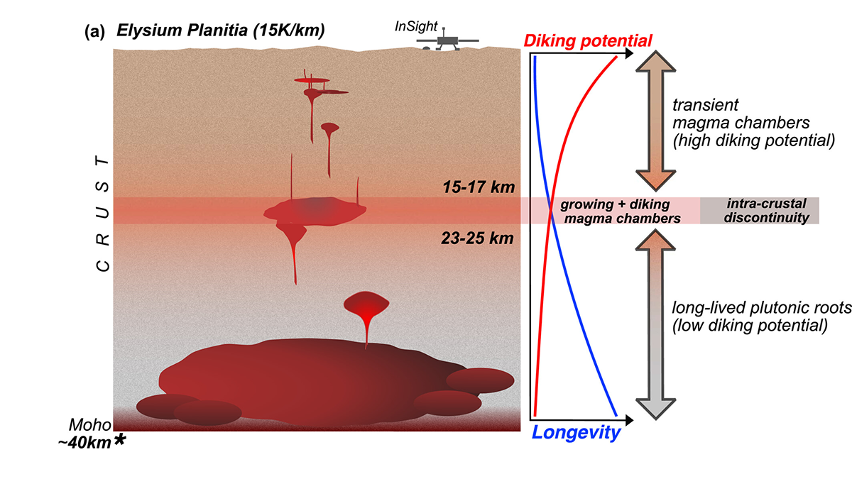 Diagram from the study.